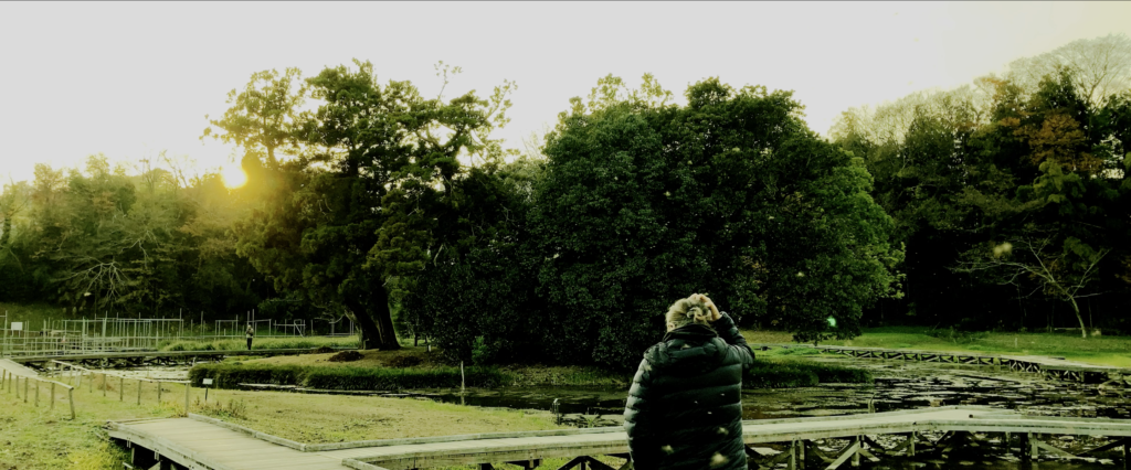 スクリーンショット 2021-08-28 2.09.46